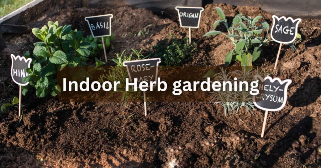 herb gardening