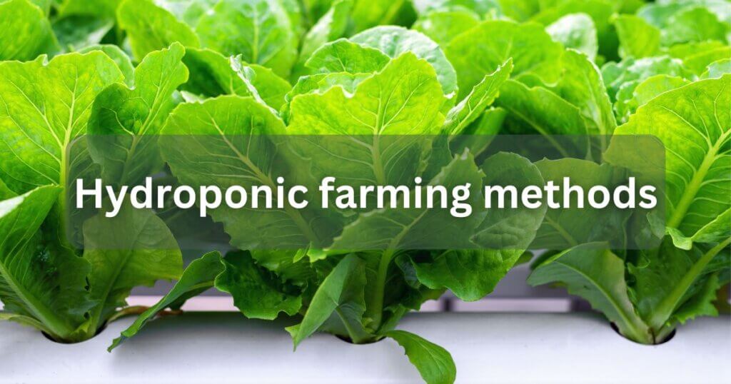 hydroponic farming methods