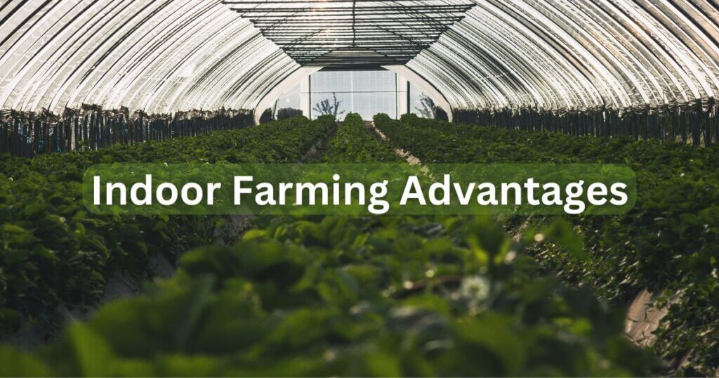 indoor farming advantages