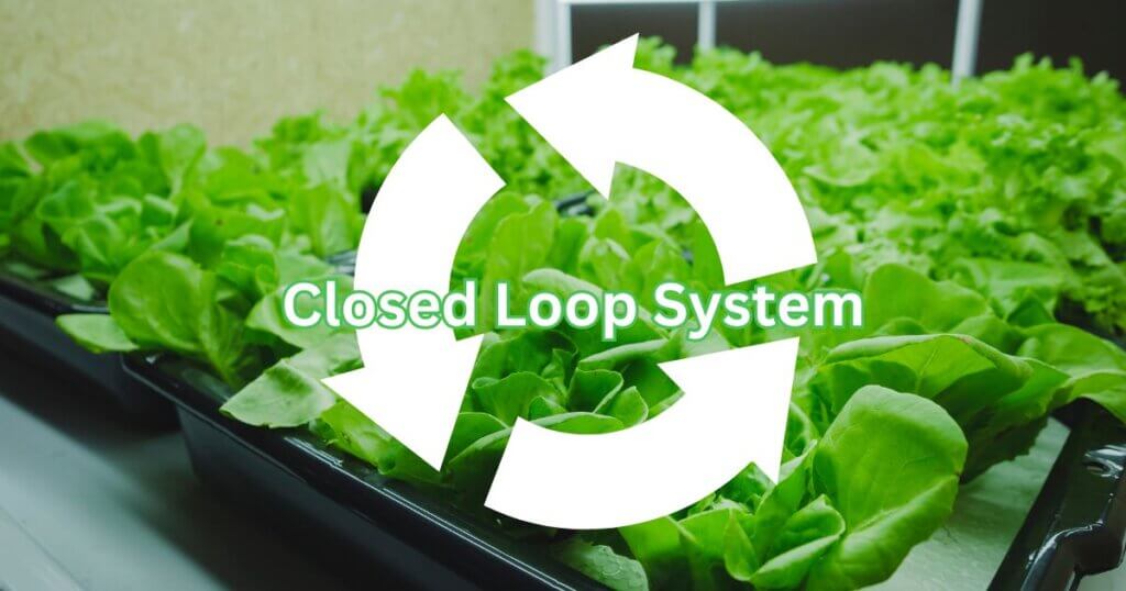 closed loop systems