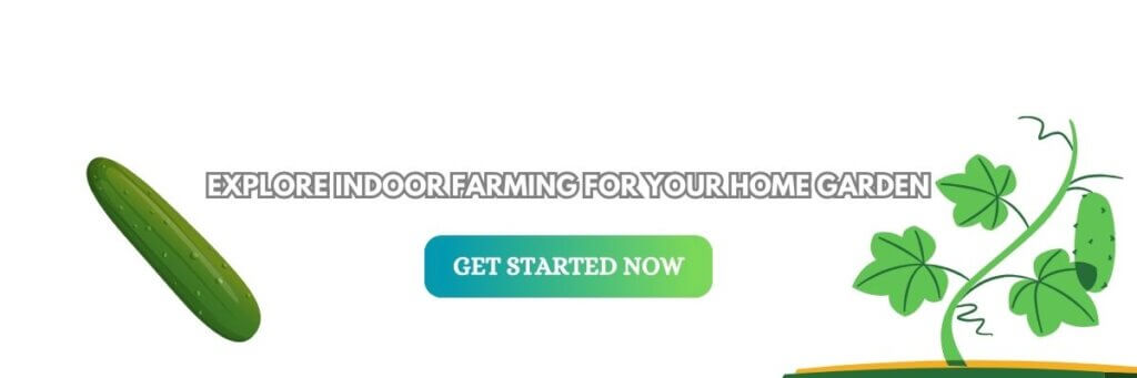 How to grow cucumber indoors