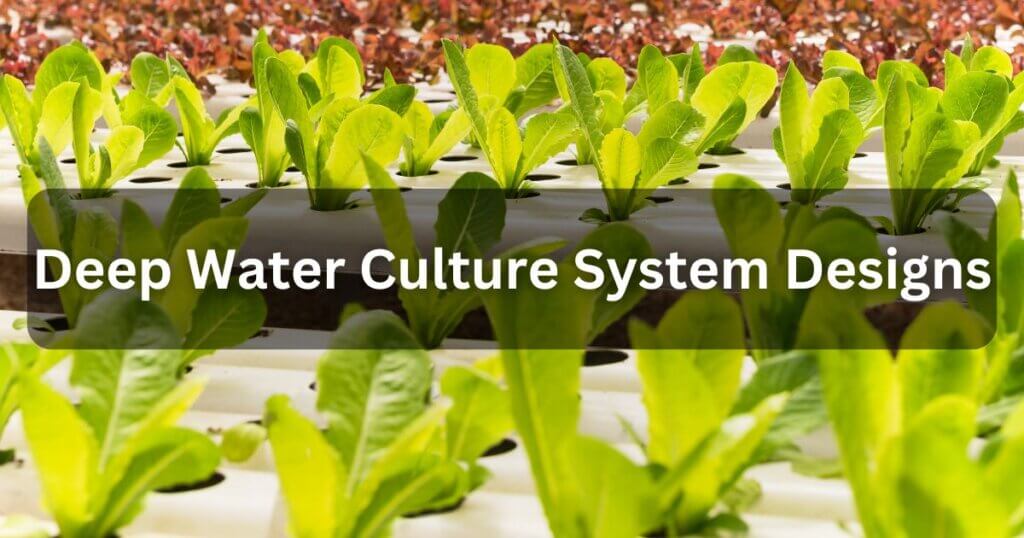 deep water culture system designs