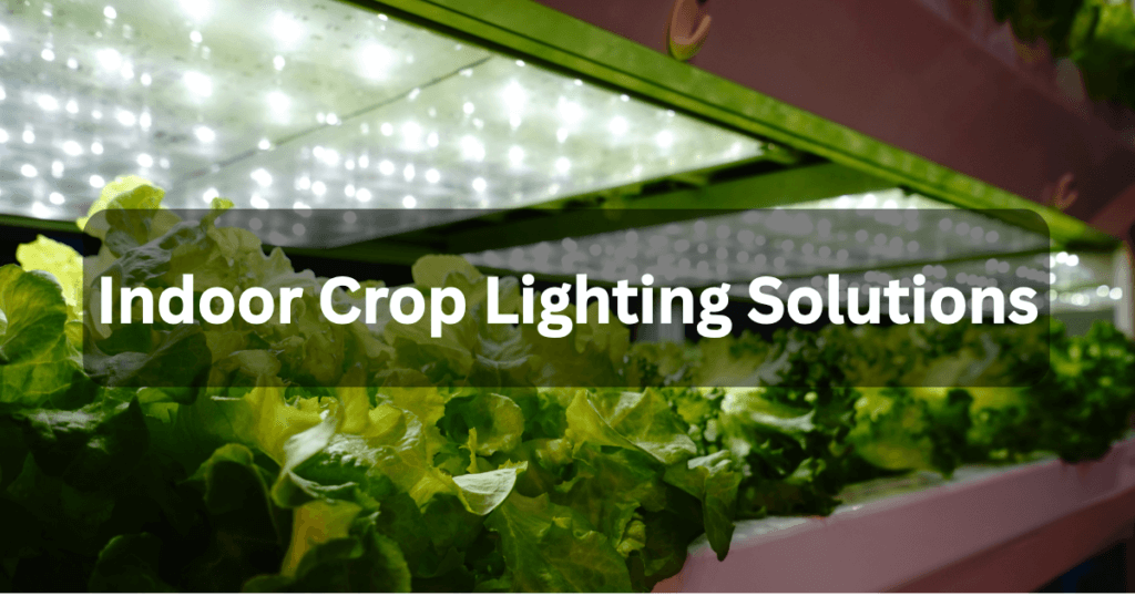 Indoor crop lighting solutions