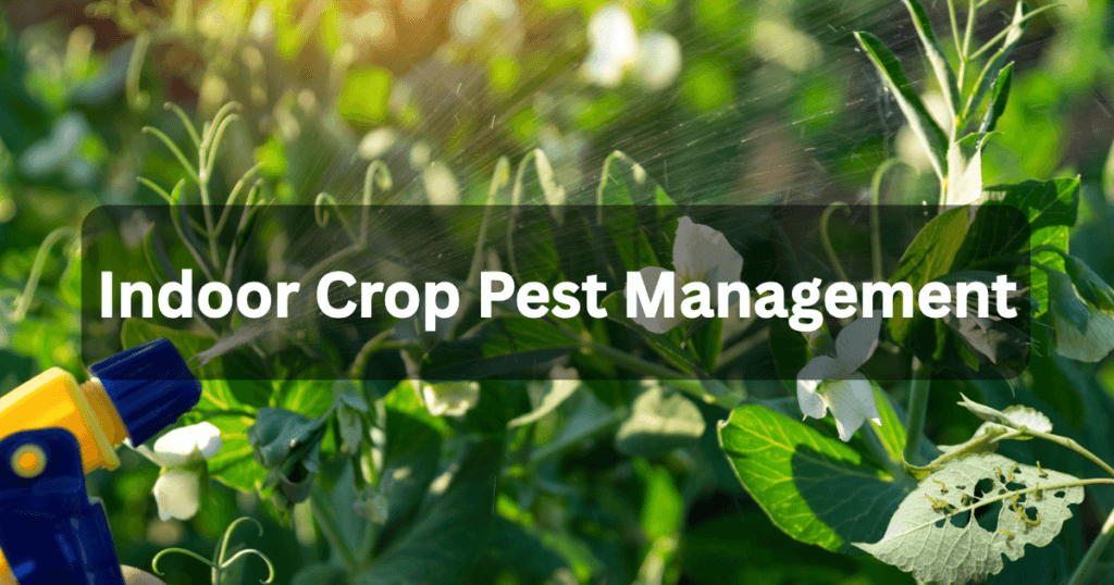 Indoor crop pest management