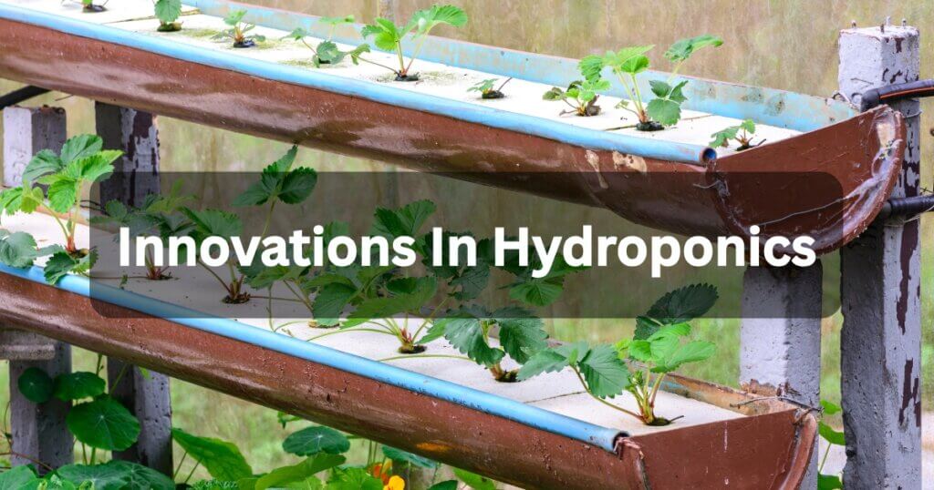 Innovations in Hydroponics