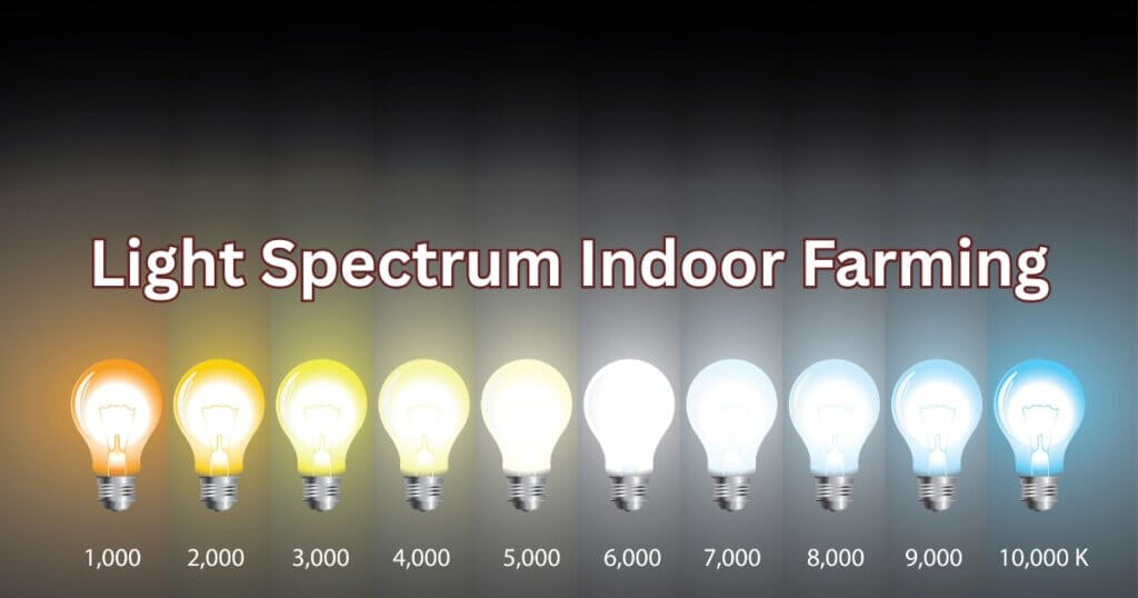 Light Spectrum Indoor Farming