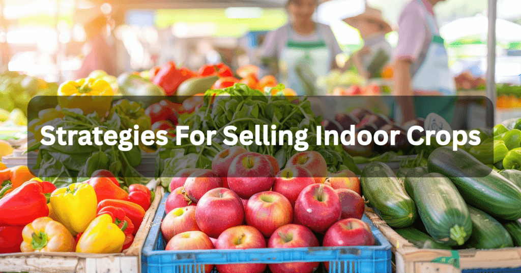 Strategies for Selling Indoor Crops
