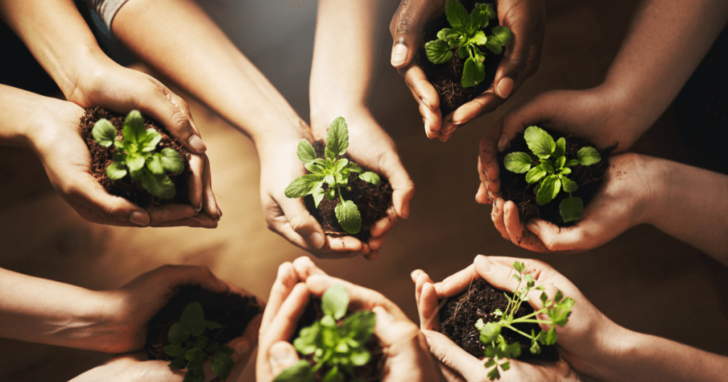 sustainable indoor gardening tips