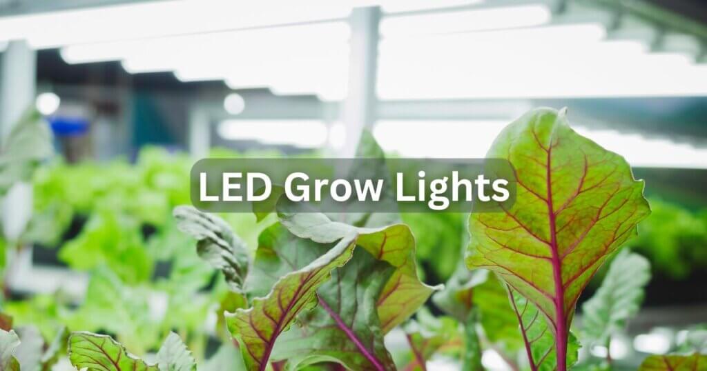 led grow lights