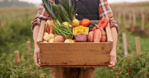 Indoor Farming Best Practices