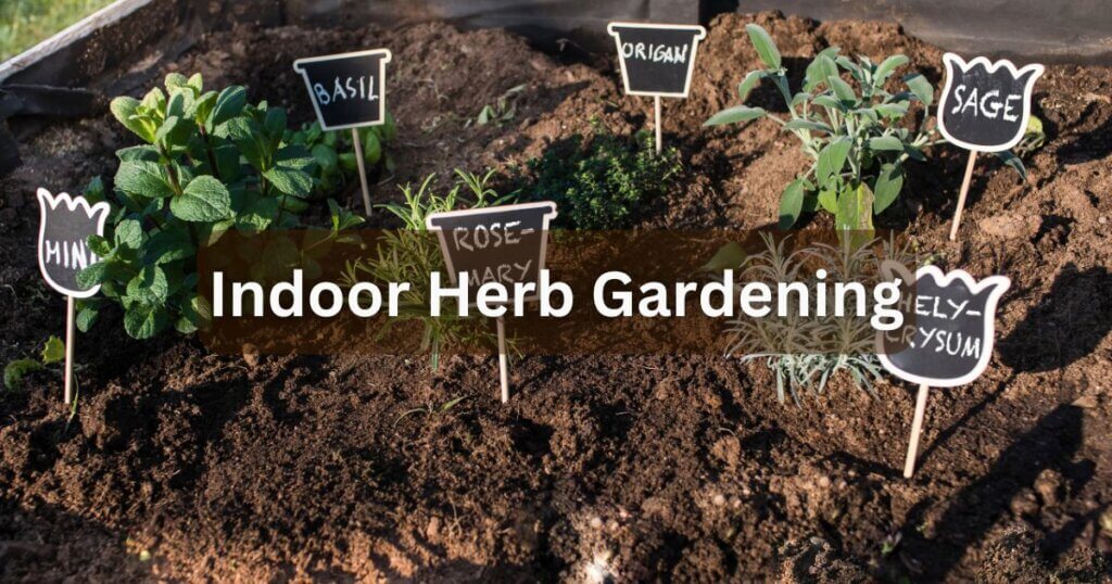 herb gardening