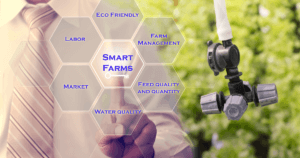 Machine Vision in indoor farming
