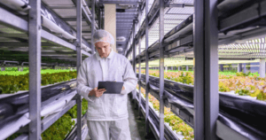 Maximising profits with high value indoor crops featured image