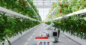 Automated Hydroponics