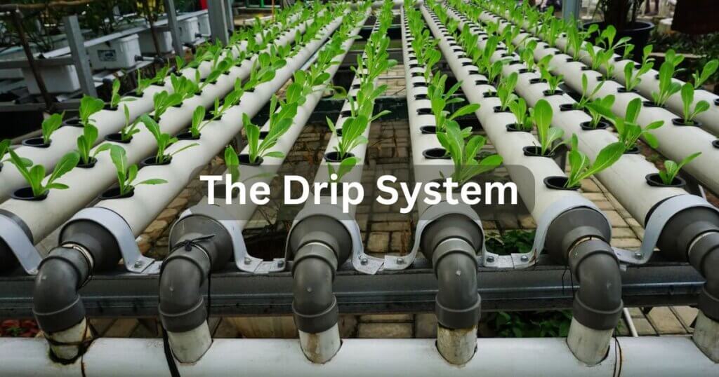 drip system