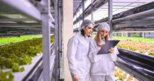 the best crops for indoor farming