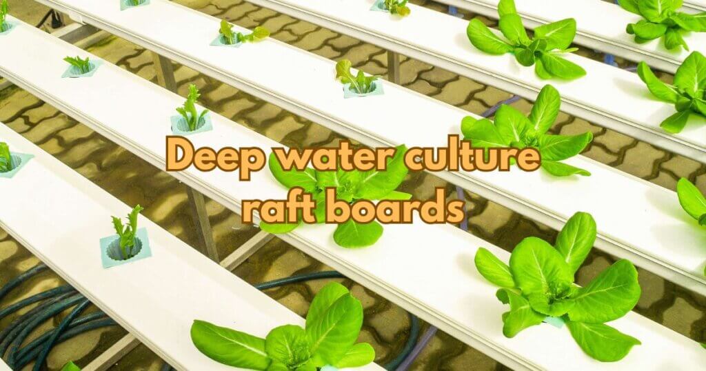 Deep water culture raft boards