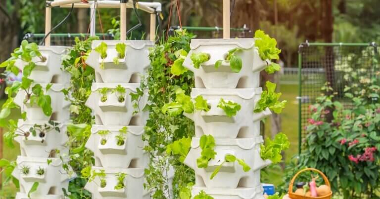 vertical farming system