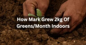 How Mark Grew 2kg of Greens/Month Indoors