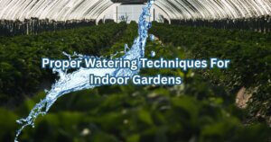 Proper Watering Techniques for Indoor Gardens