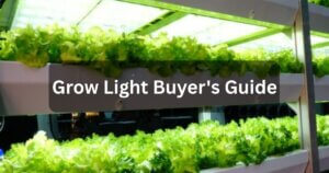 grow light buyer's guide