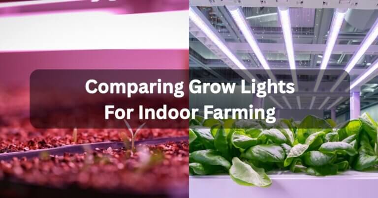 Comparing Grow Lights for Indoor Farming