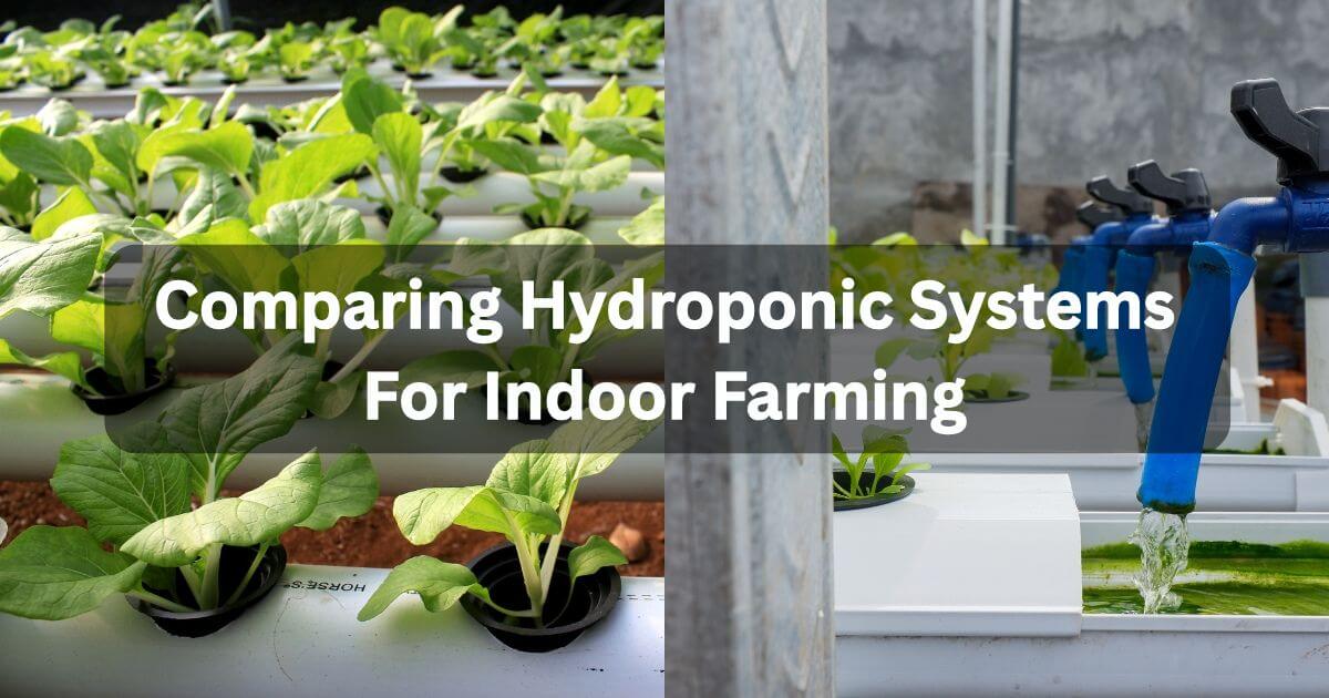 Comparing Hydroponic Systems for Indoor Farming