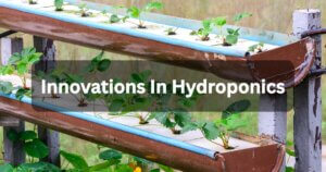 Innovations in Hydroponics