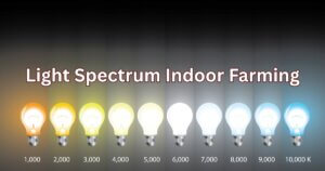 Light Spectrum Indoor Farming