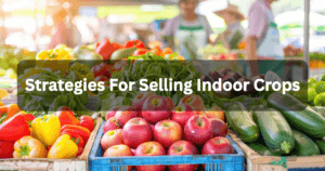 Strategies for Selling Indoor Crops