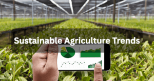 Sustainable Agriculture Trends