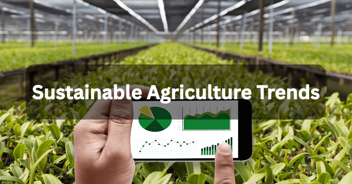 Farming Rise The Astonishing Rise of Sustainable Agriculture Trends in 2025 ...
